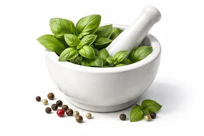 Fresh Basil Leaves In A White Mortar And Pestle