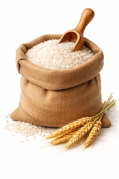 Burlap Sack Filled With White Rice And Wheat Stalks