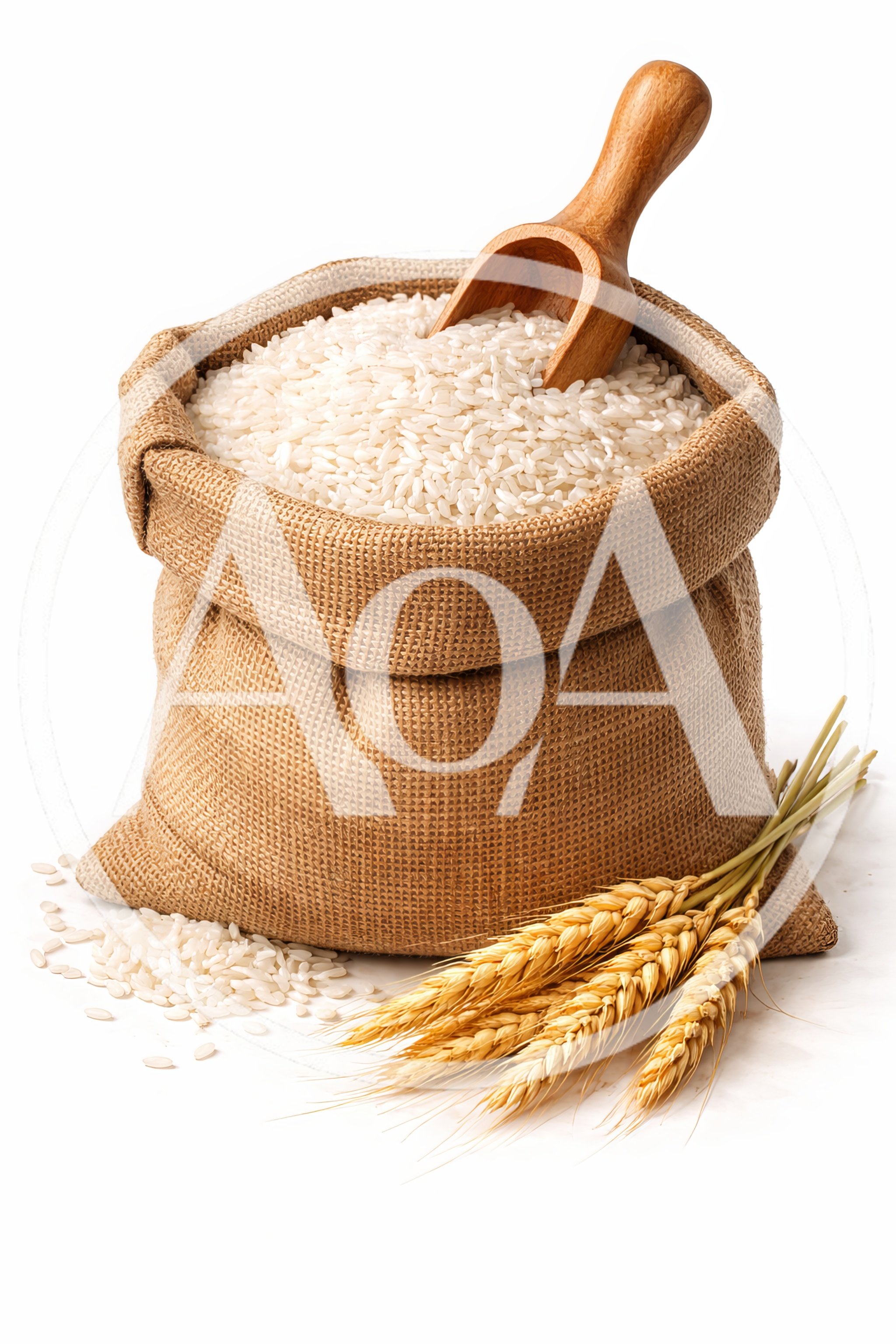 Burlap Sack Filled With White Rice And Wheat Stalks