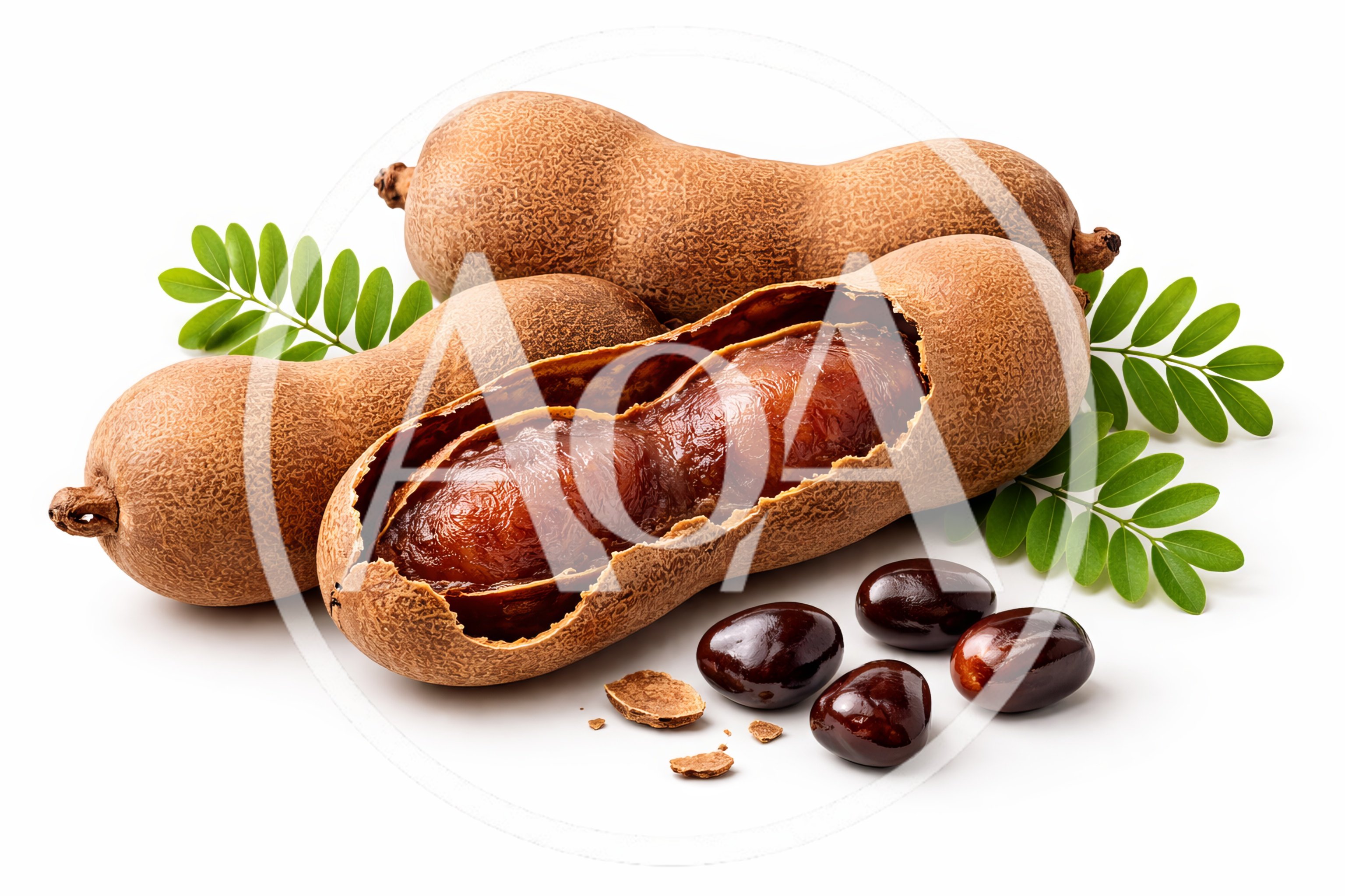 Fresh Tamarind Pods and Seeds on White Background