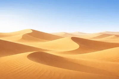 Expansive Golden Sand Dunes Under Clear Blue Sky