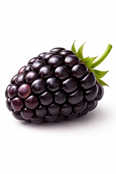 Single Fresh Ripe Blackberry Isolated On White Background