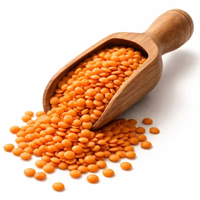 Wooden Scoop Filled With Dry Red Lentils