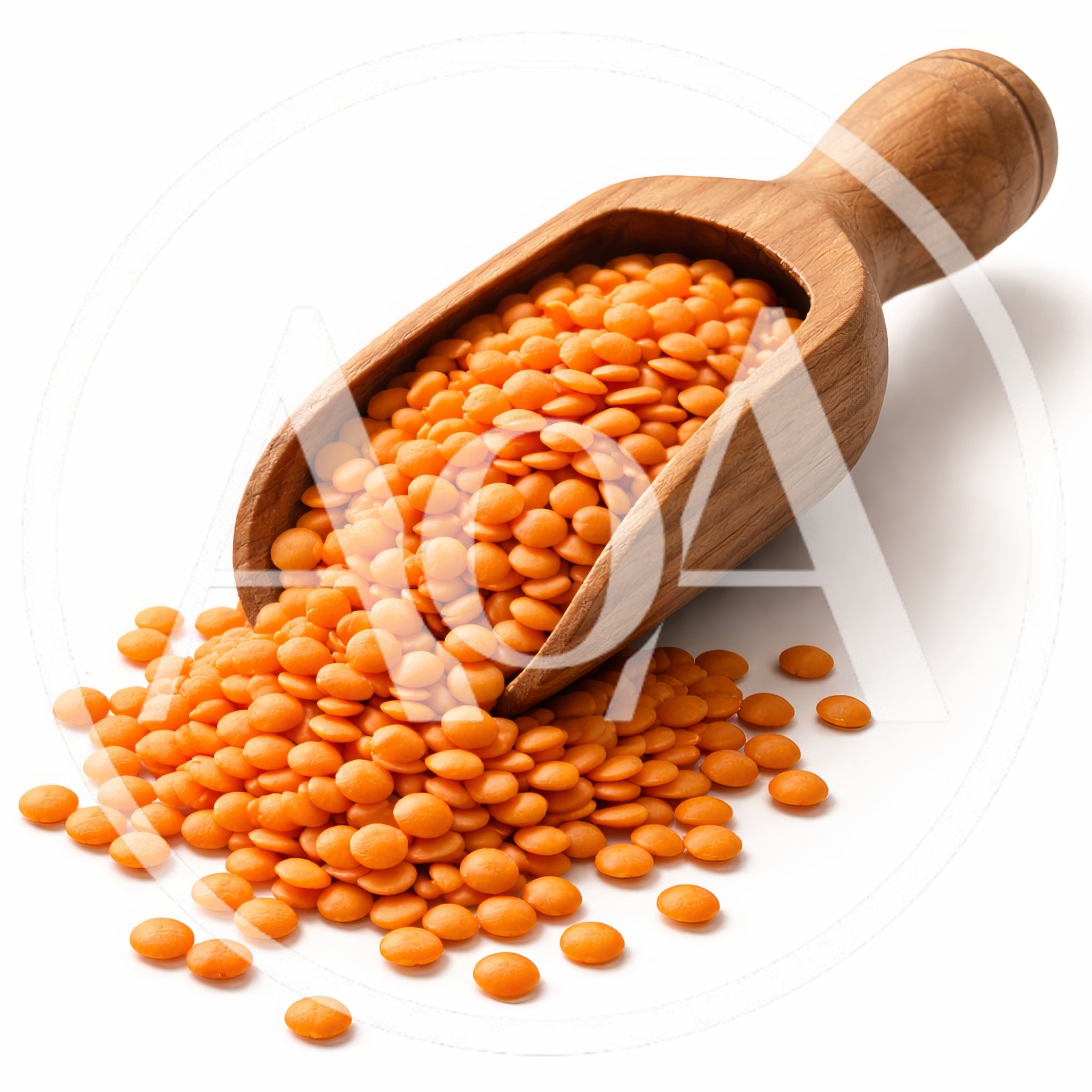 Wooden Scoop Filled With Dry Red Lentils