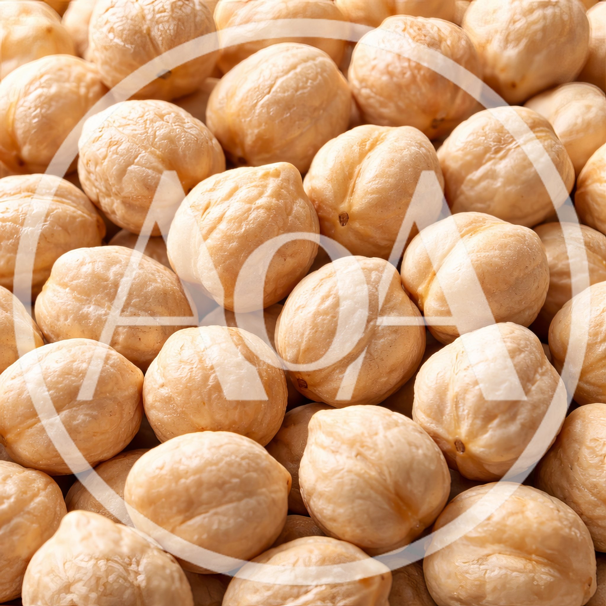 Close Up Of Raw Dried Chickpeas
