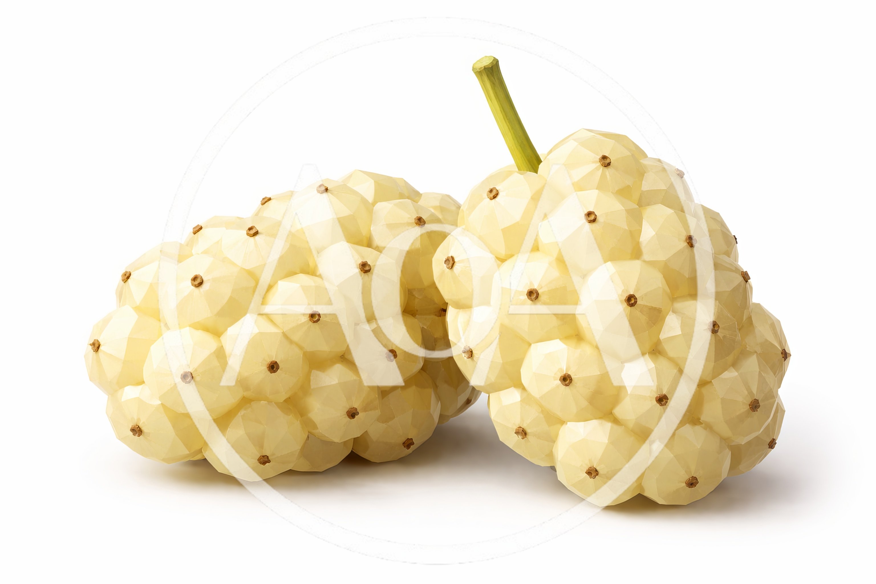 Two White Noni Fruits Isolated on White Background