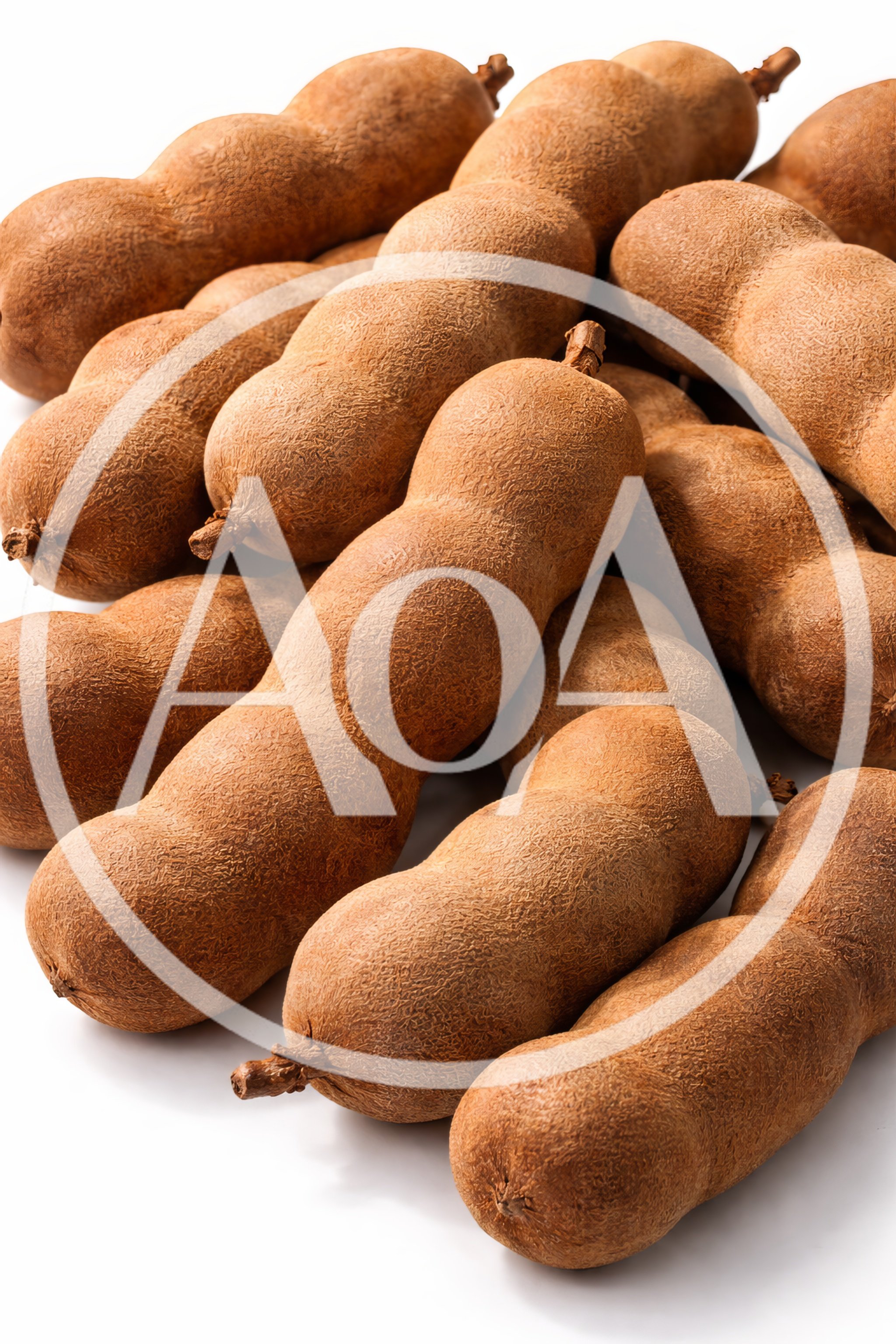 Fresh Tamarind Pods Arranged On White Background