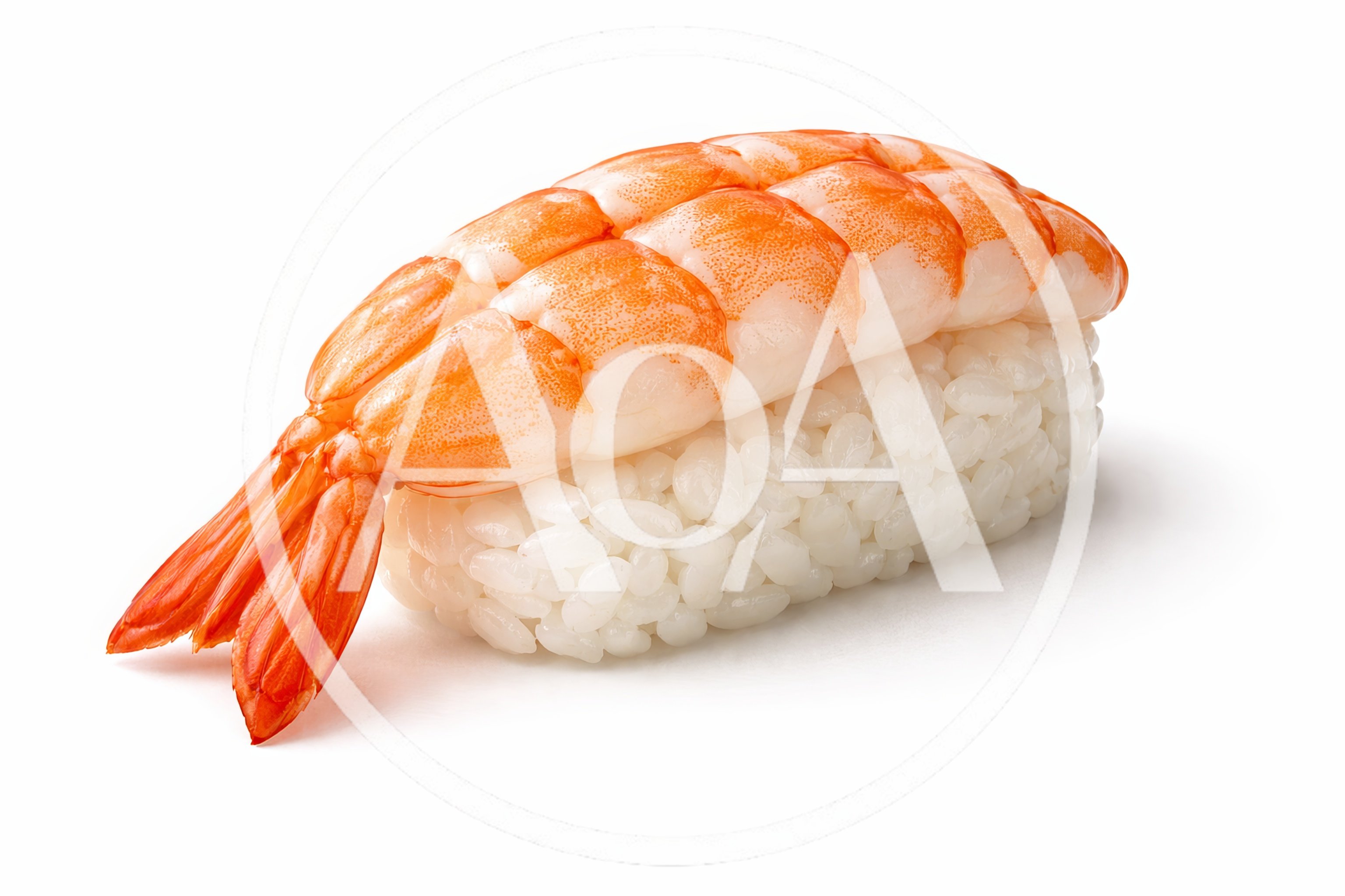 Ebi Nigiri Sushi With Boiled Shrimp On White Rice