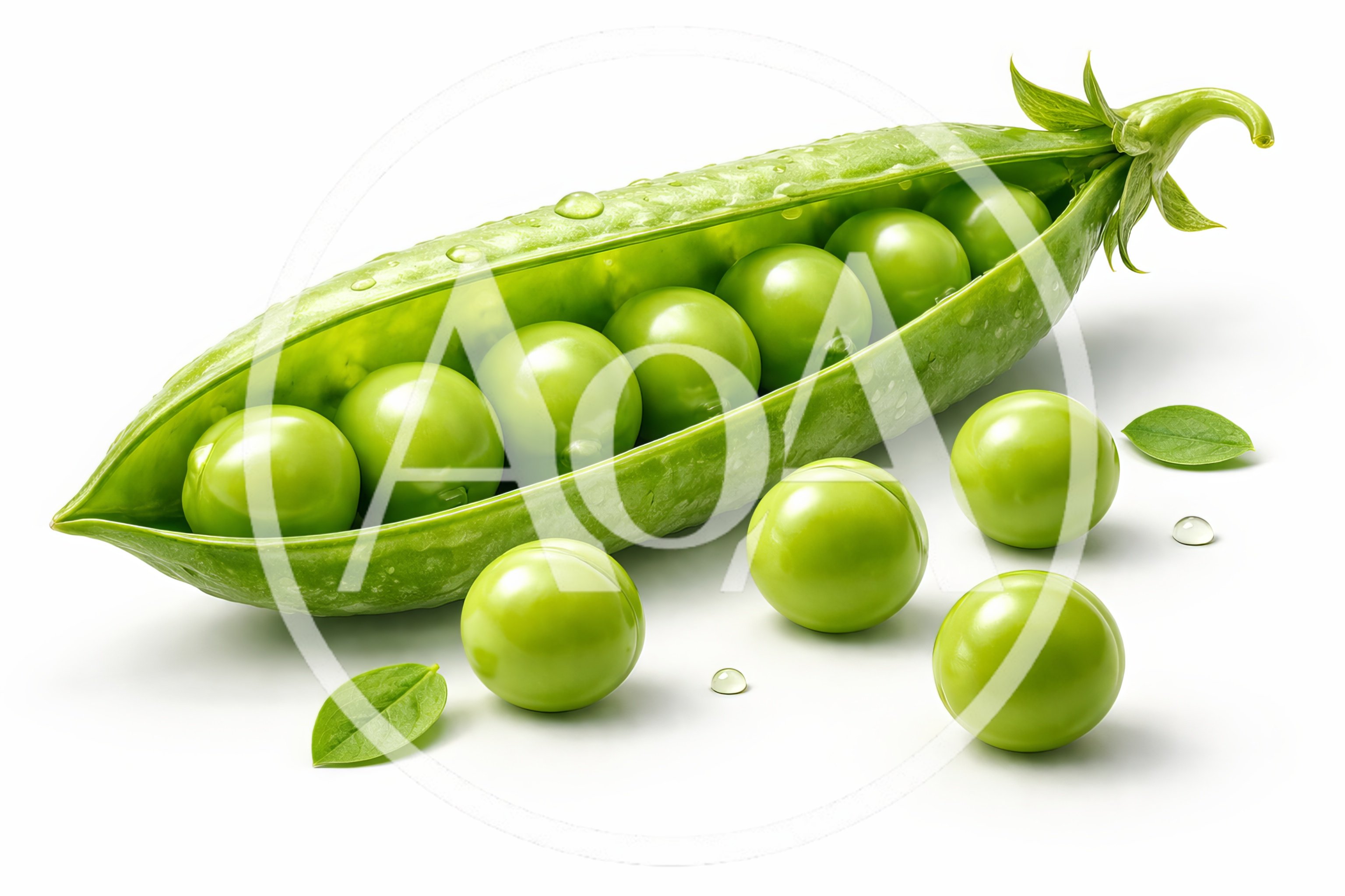Fresh Green Pea Pod With Loose Peas