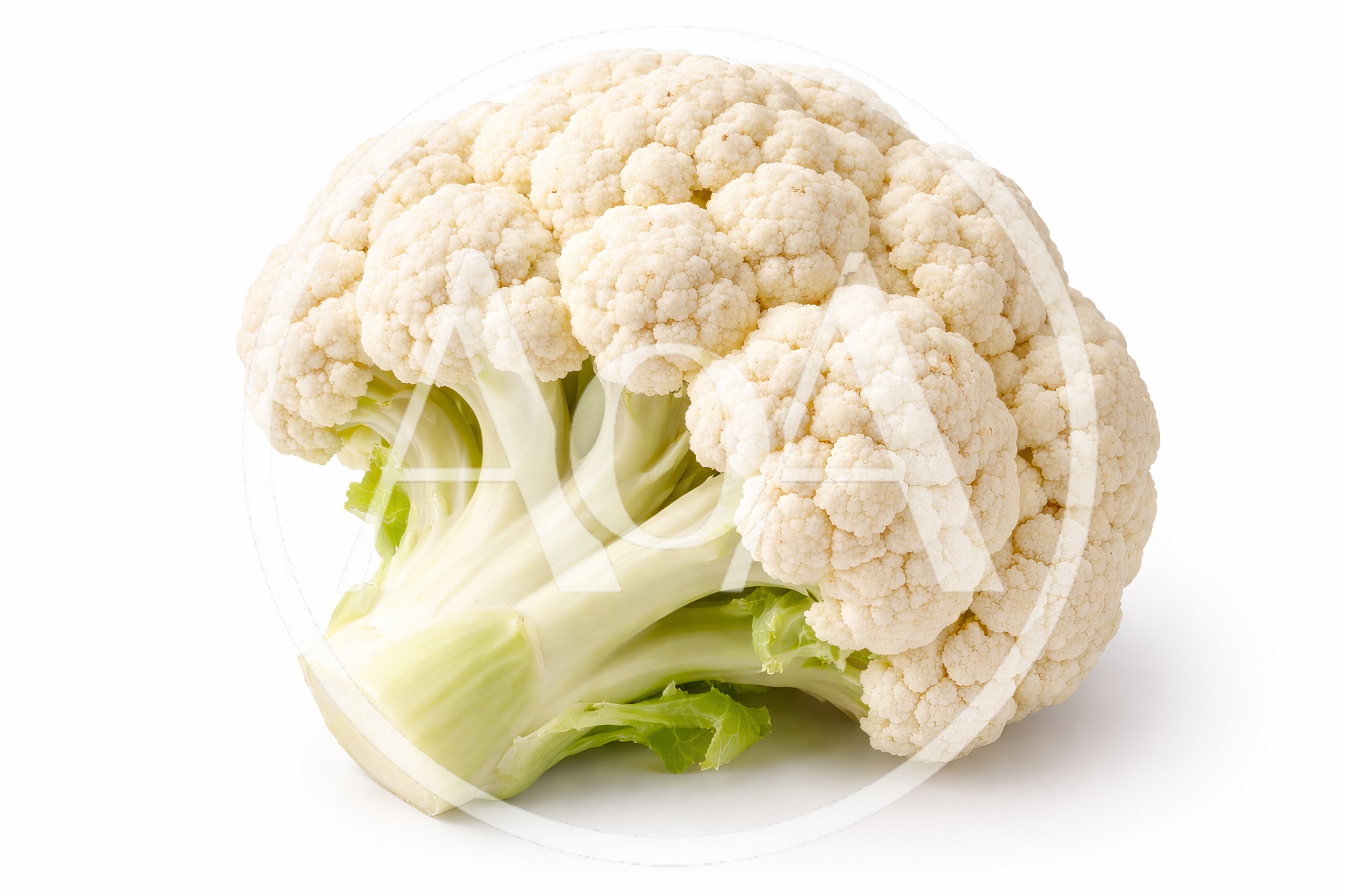 Fresh Raw Cauliflower Head Isolated On White Background
