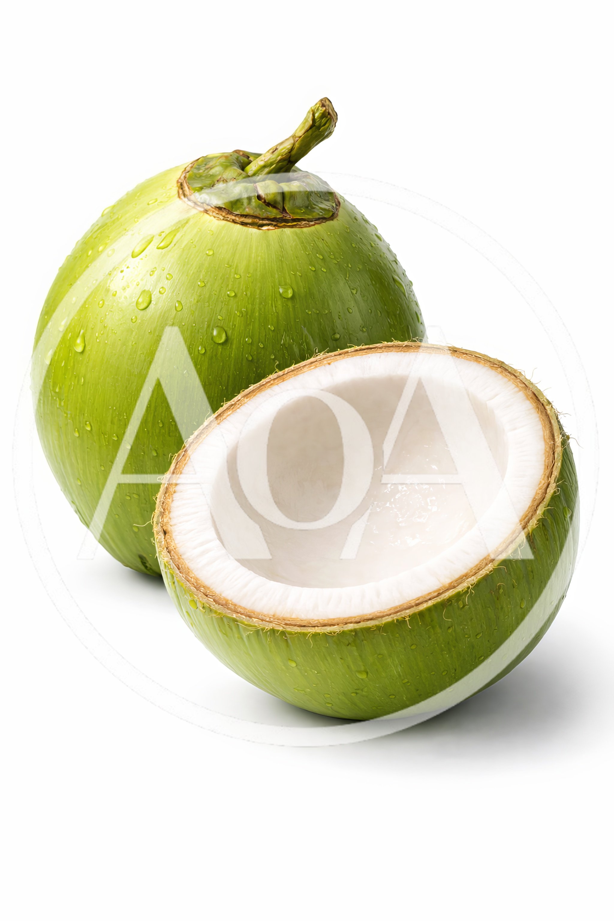 Fresh Green Coconut With A Cut Half
