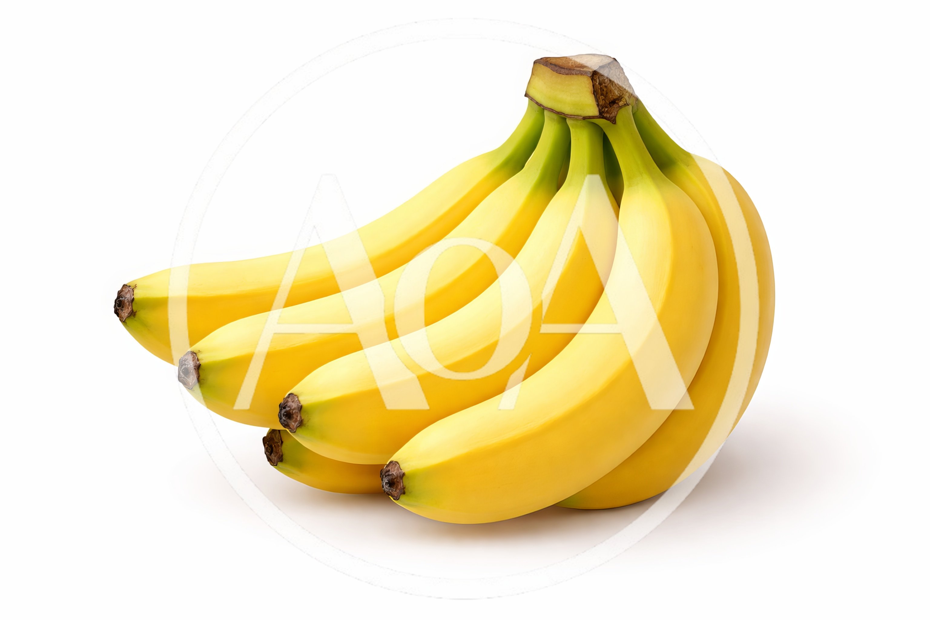 Fresh Yellow Banana Bunch Isolated on White Background