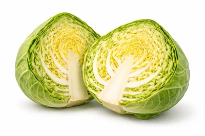 Two Halves Of Fresh Green Cabbage