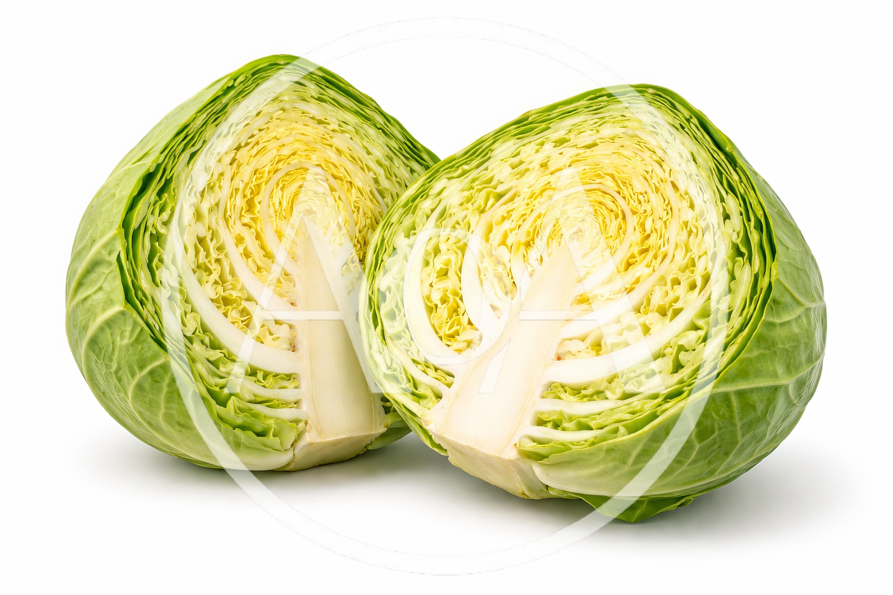 Two Halves Of Fresh Green Cabbage