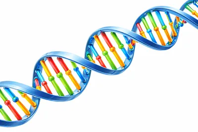 3D Rendered DNA Double Helix Structure
