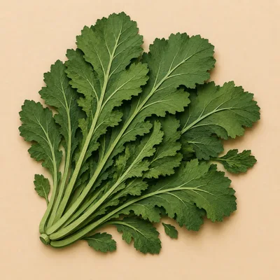 Fresh Green Mustard Greens Bunch