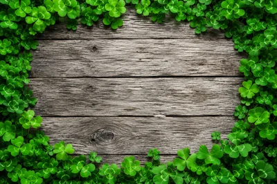 Clover Border Frame on Rustic Wooden Background