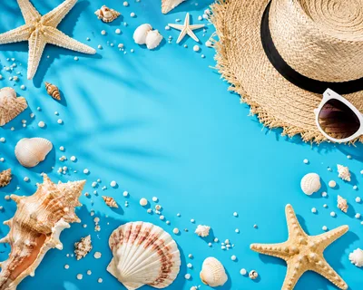 Summer Beach Vacation Flat Lay With Seashells And Hat