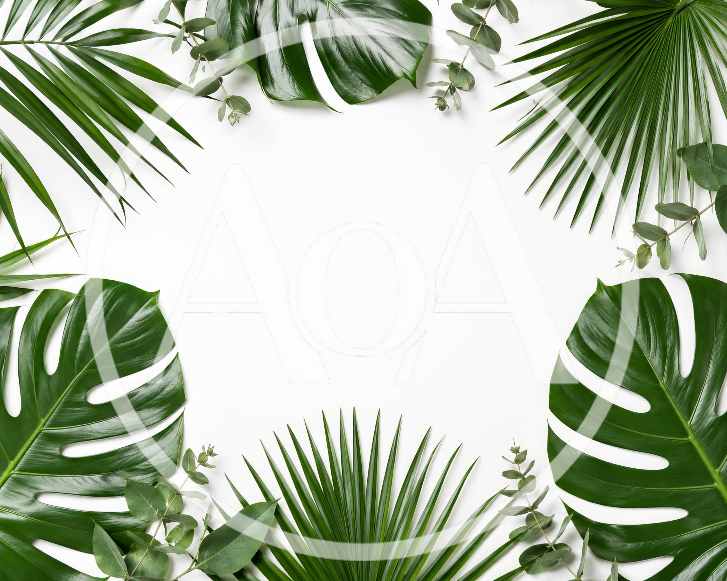Tropical Palm and Monstera Leaves Frame