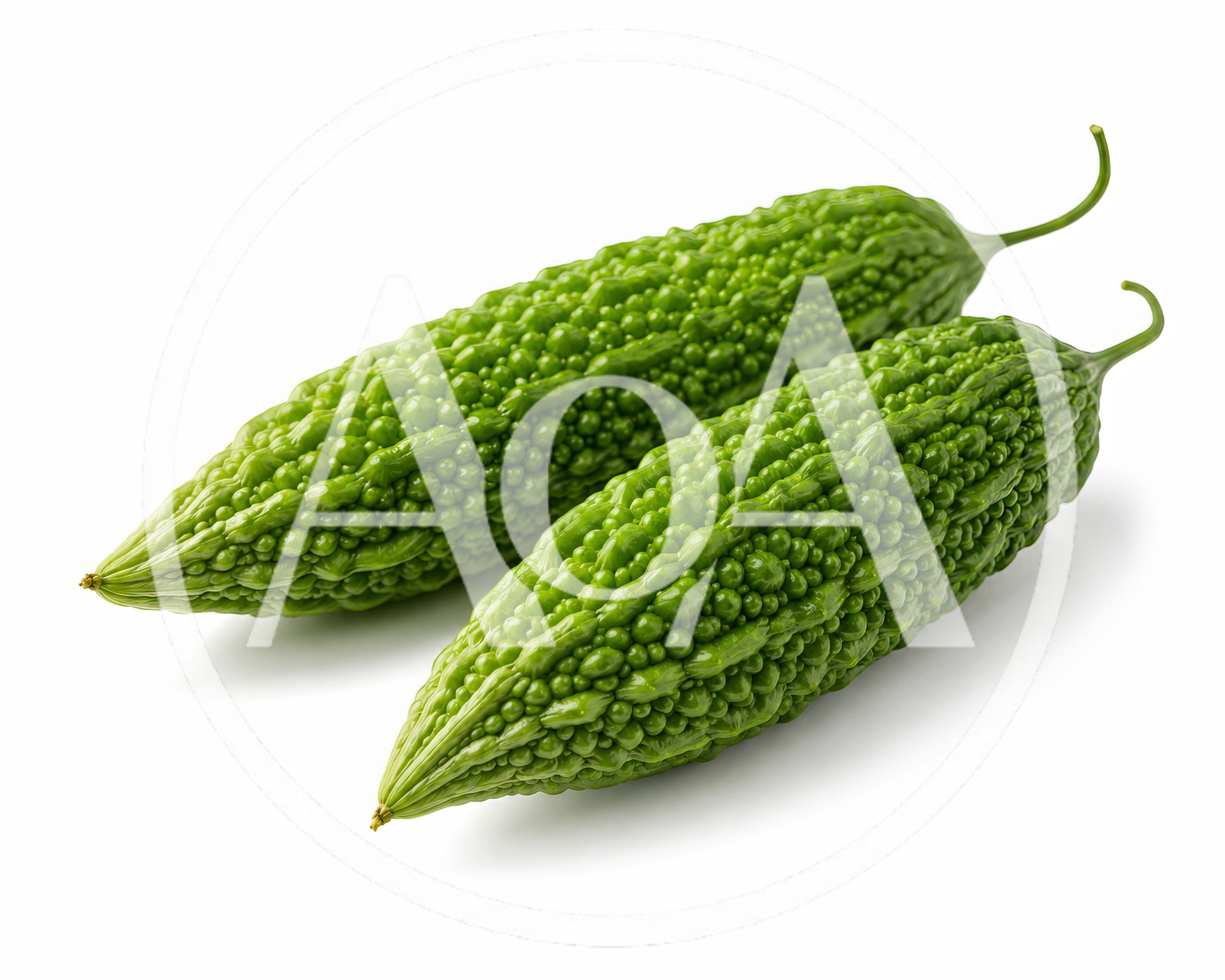Two Fresh Bitter Melons on White Background