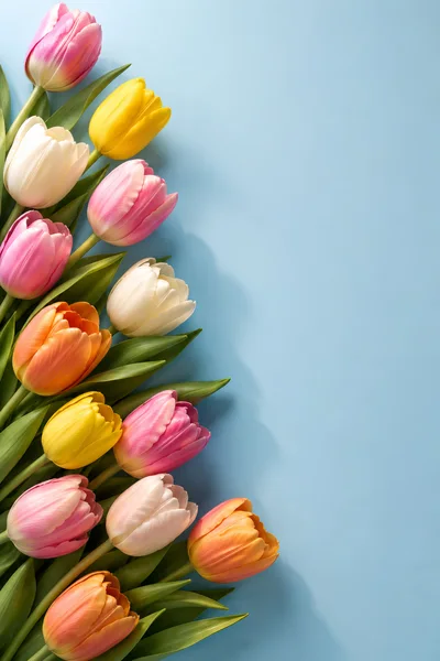 Colorful Tulip Bouquet on Light Blue Background