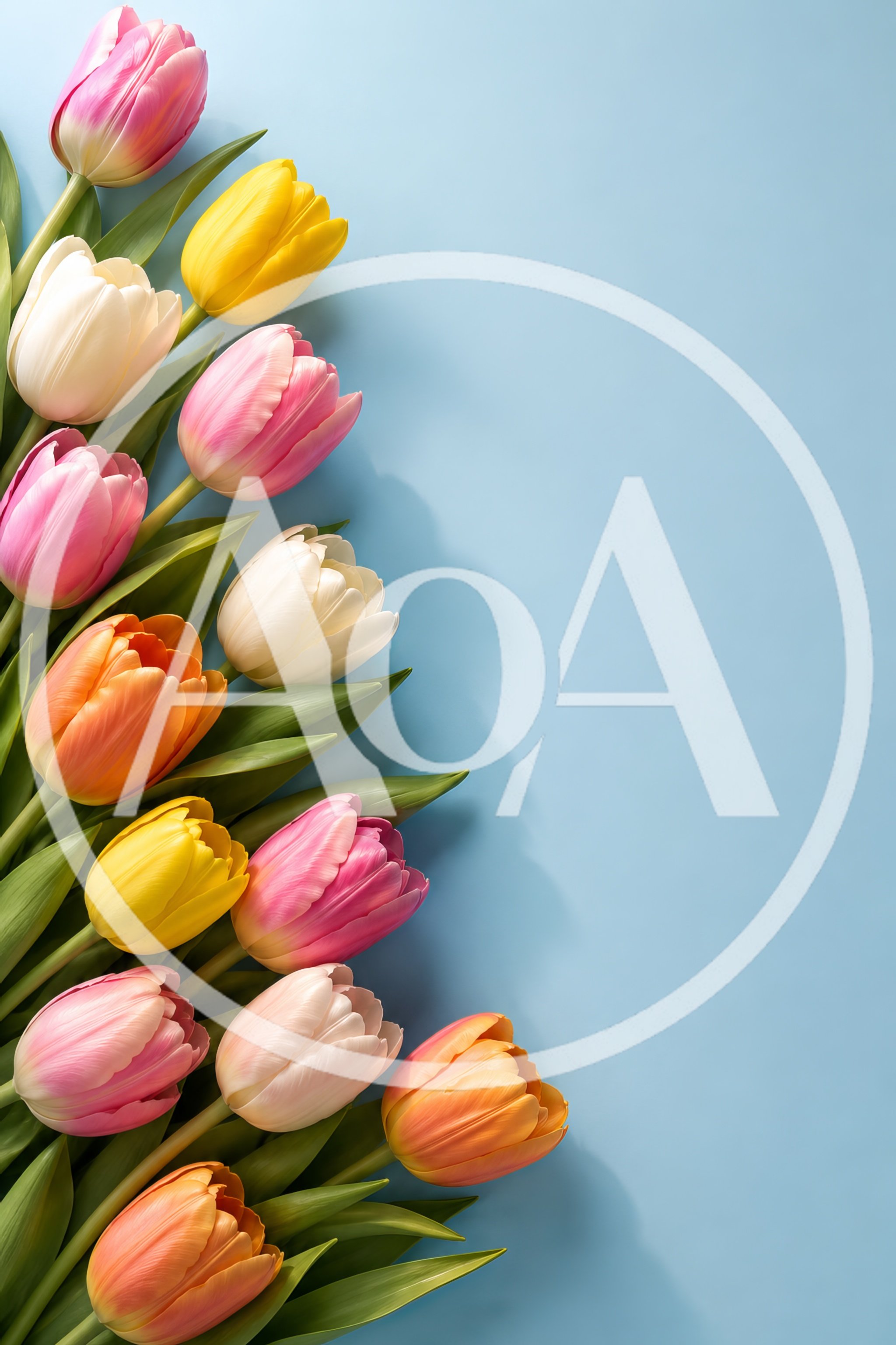 Colorful Tulip Bouquet on Light Blue Background