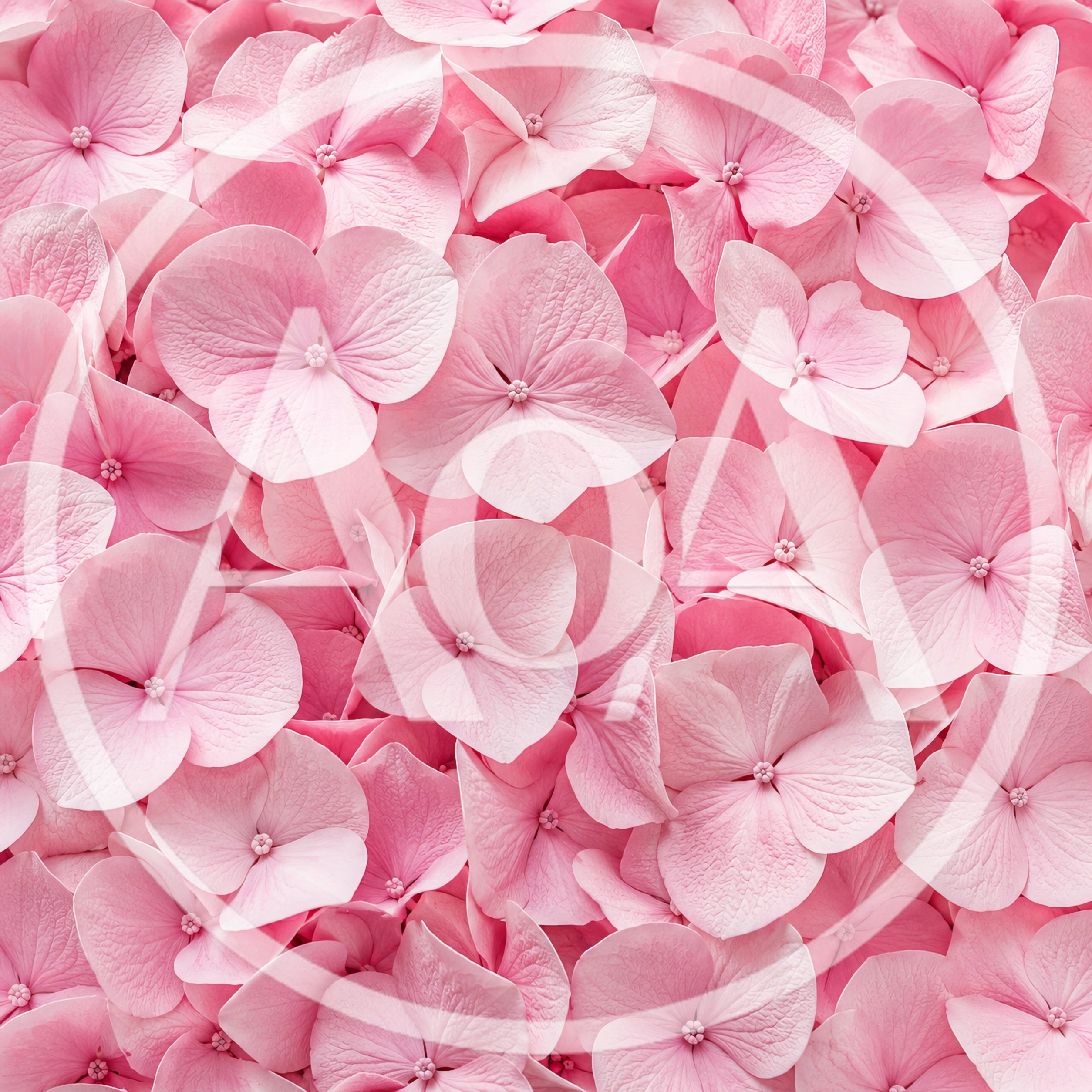 Close Up Of Vibrant Pink Hydrangea Flower Petals