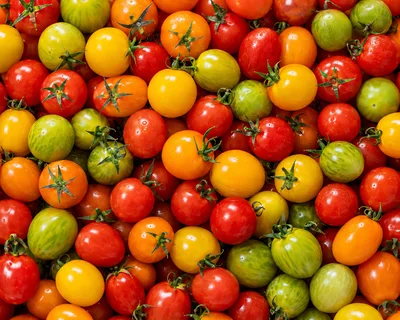 Fresh Assorted Heirloom Cherry Tomatoes Background