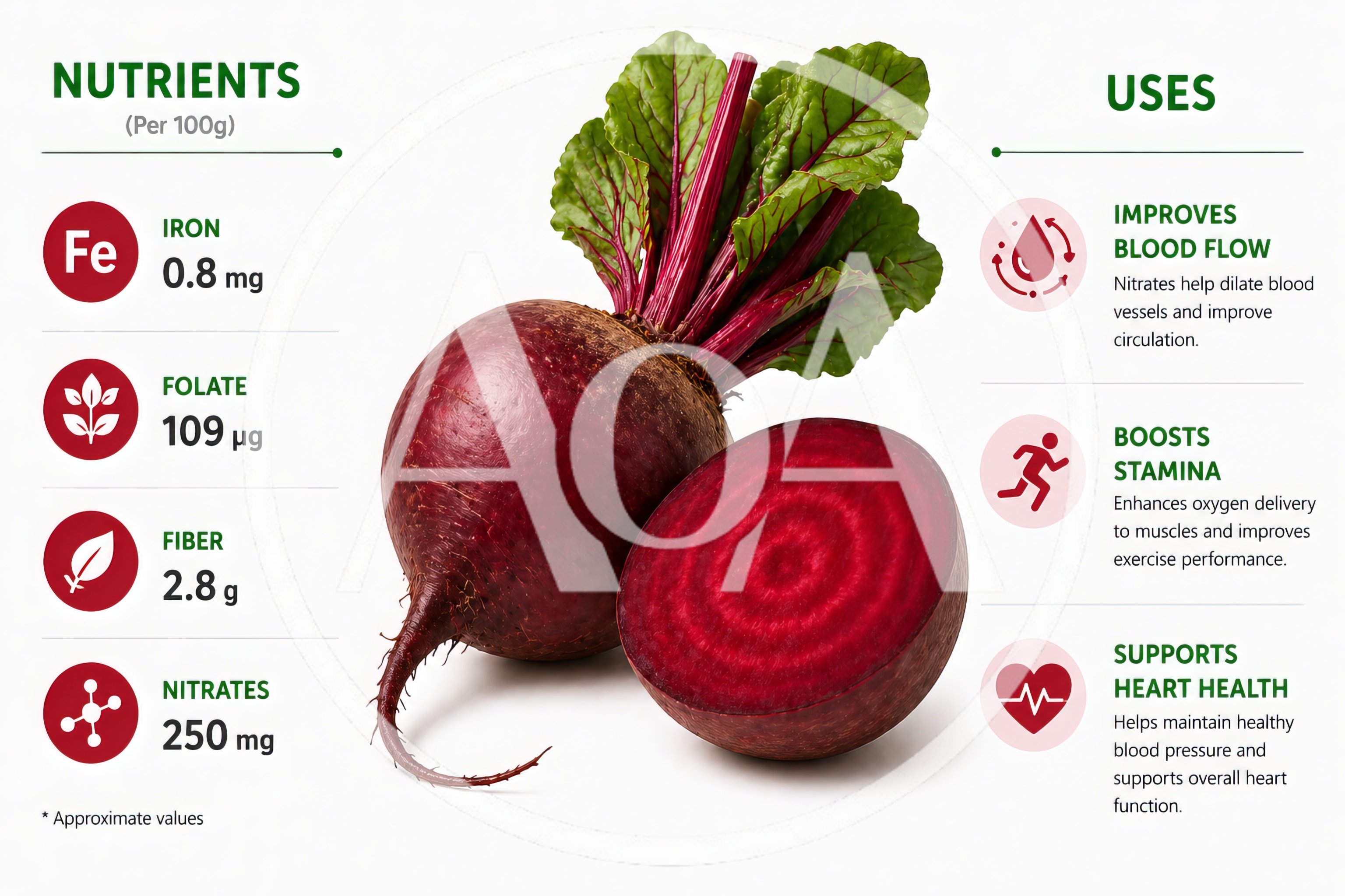 Beetroot Nutritional Benefits Infographic With Fresh Vegetable