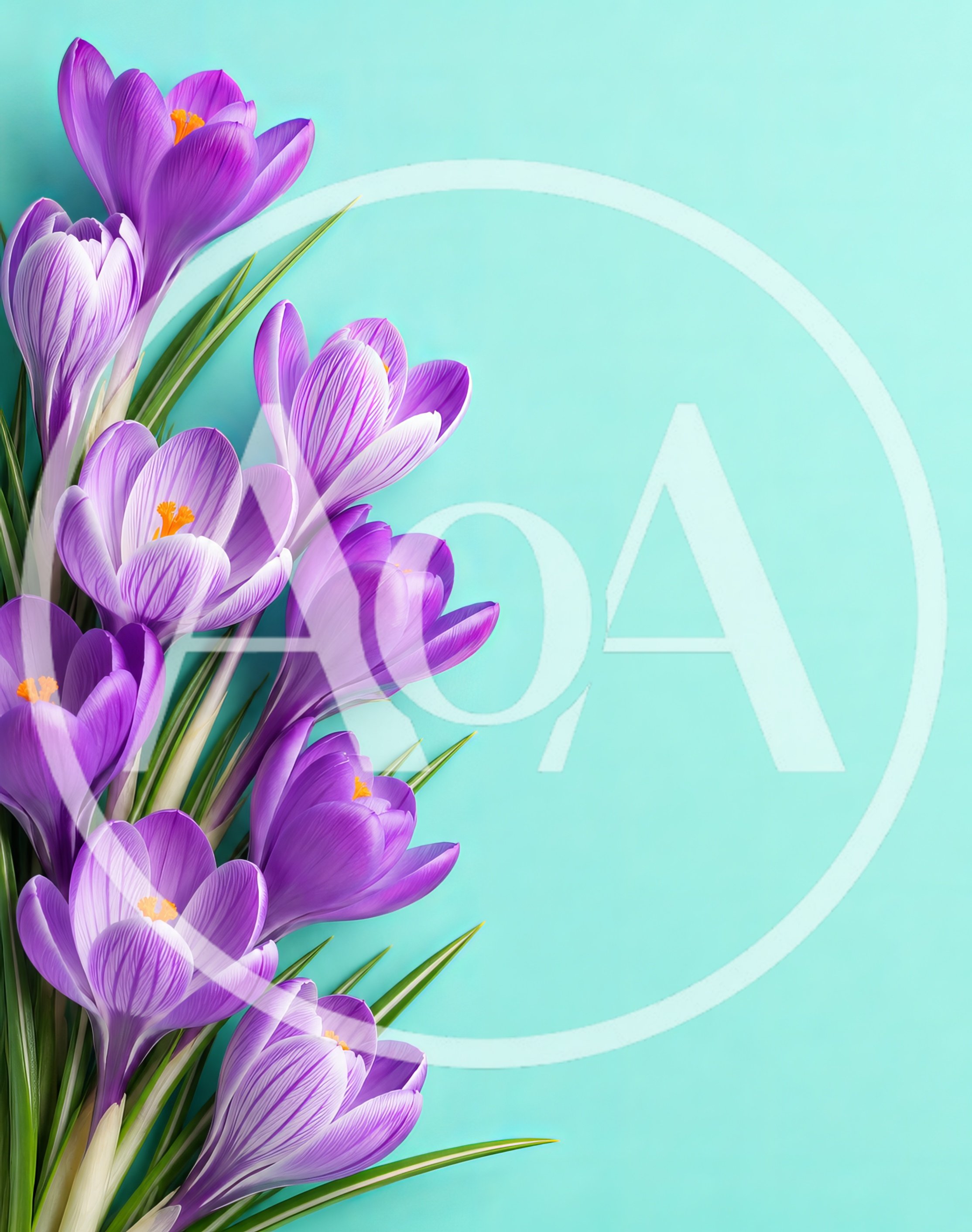 Purple Crocus Flowers On A Light Blue Background