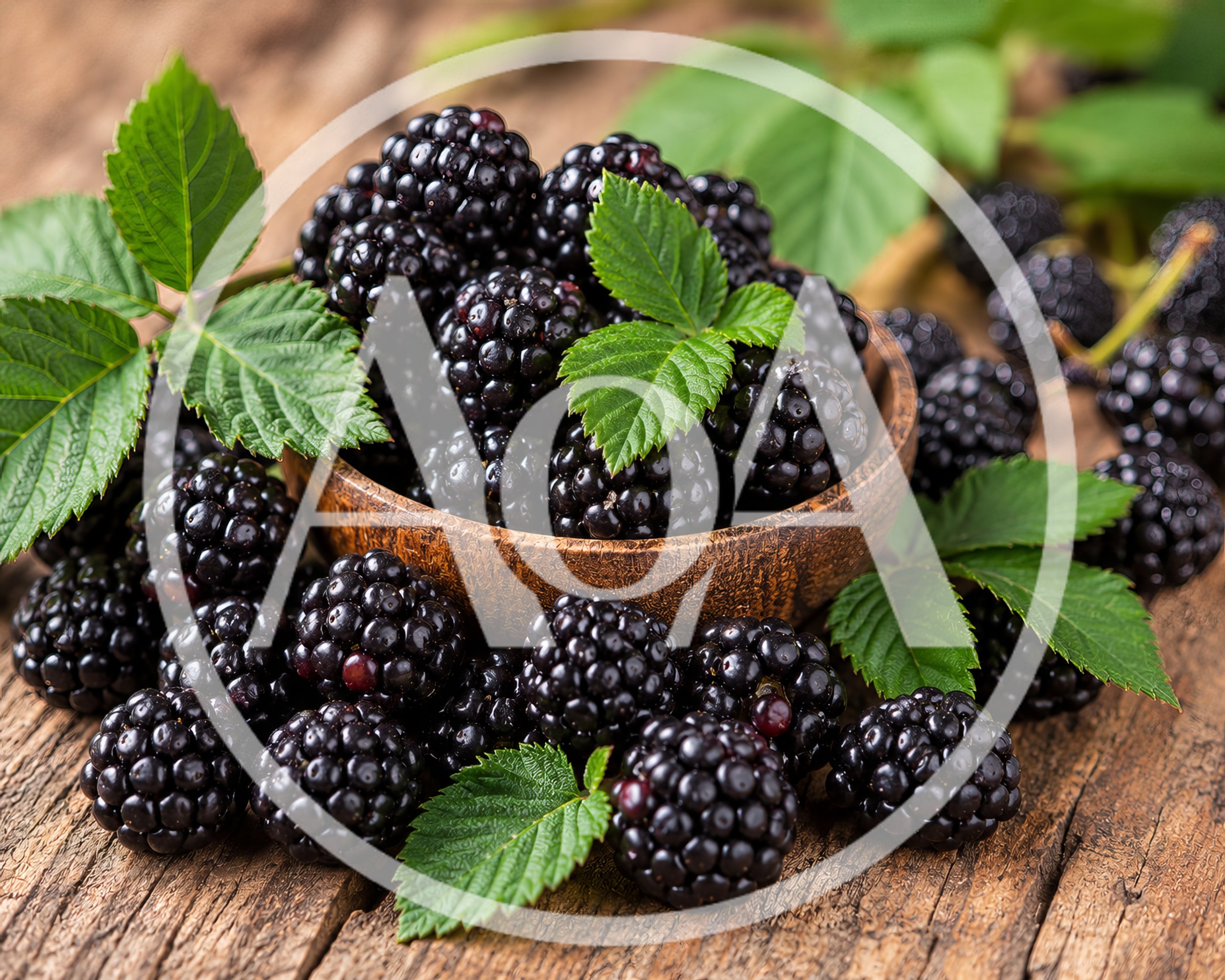 Fresh Blackberries in a Wooden Bowl on Rustic Wood