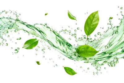 Green Tea Leaves Floating In Refreshing Water Splash