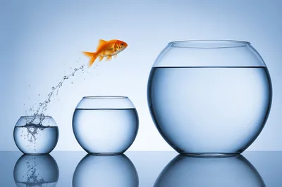 Goldfish Jumping Between Glass Fish Bowls