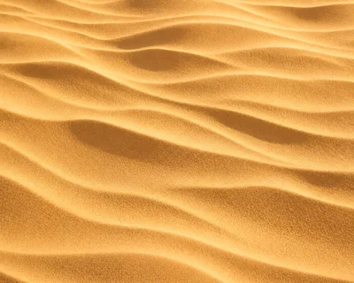 Golden Sand Dunes With Rippled Texture