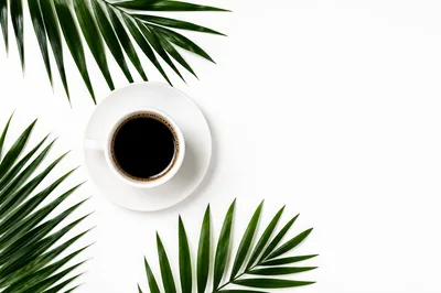 Top View Of Coffee Cup With Palm Leaves