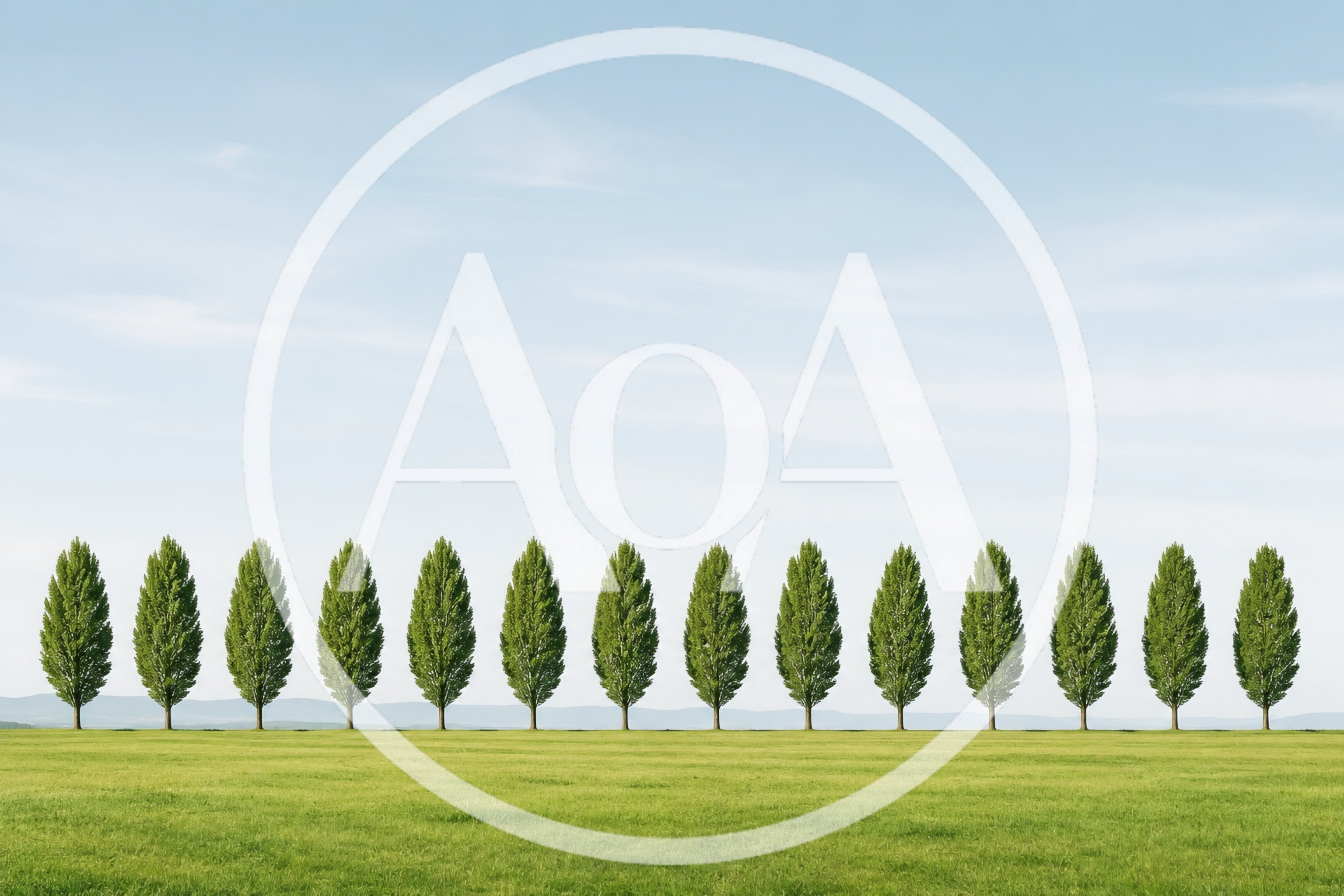 Row Of Tall Poplar Trees In A Green Field