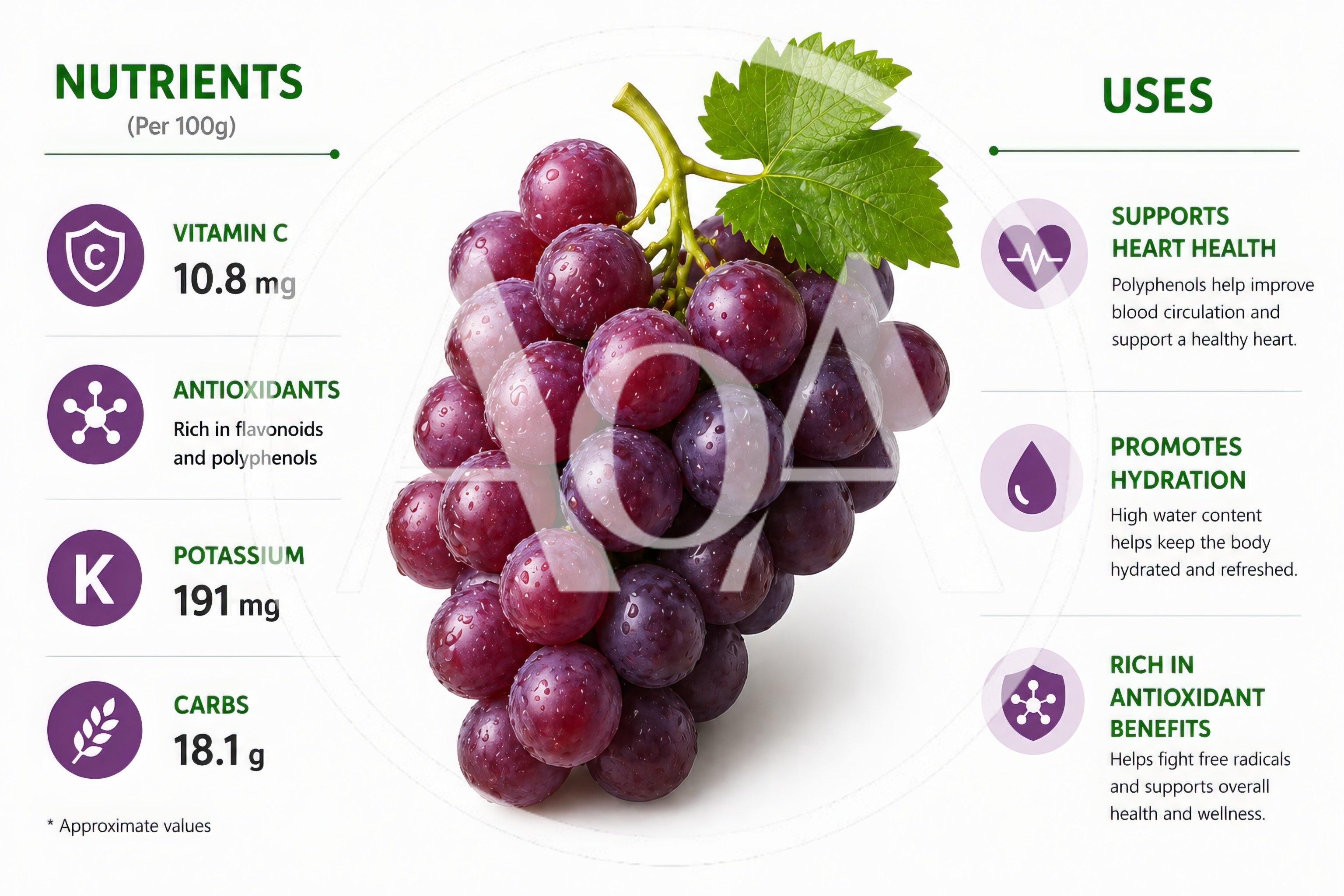 Nutritional Infographic Of Fresh Red Grapes