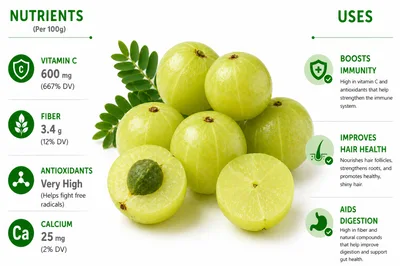 Amla Fruit Nutritional Infographic With Health Benefits