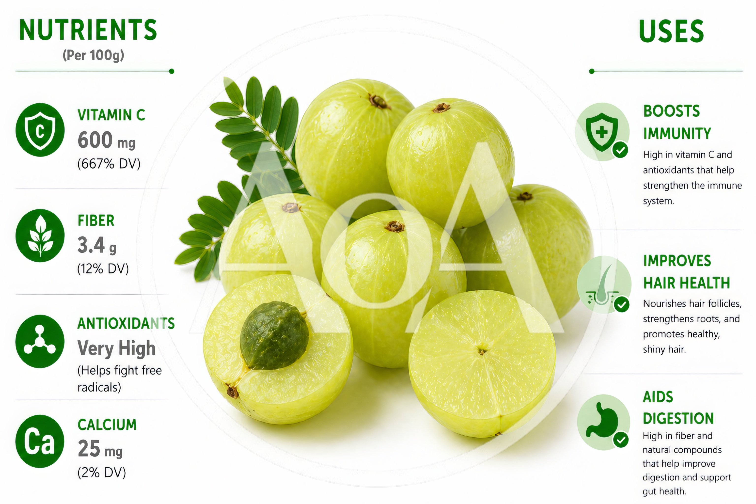 Amla Fruit Nutritional Infographic With Health Benefits