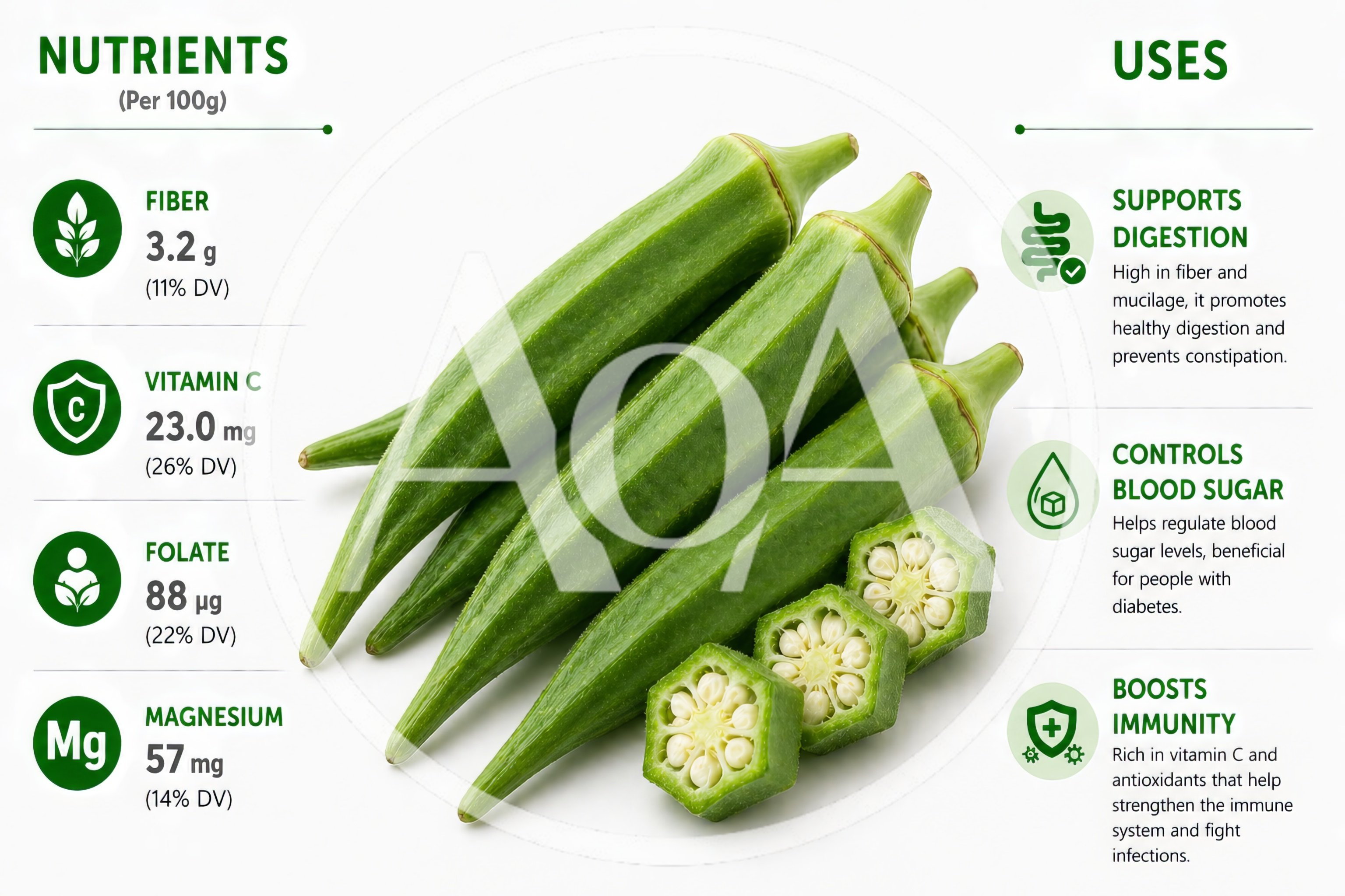 Okra Nutritional Benefits Infographic With Fresh Vegetables