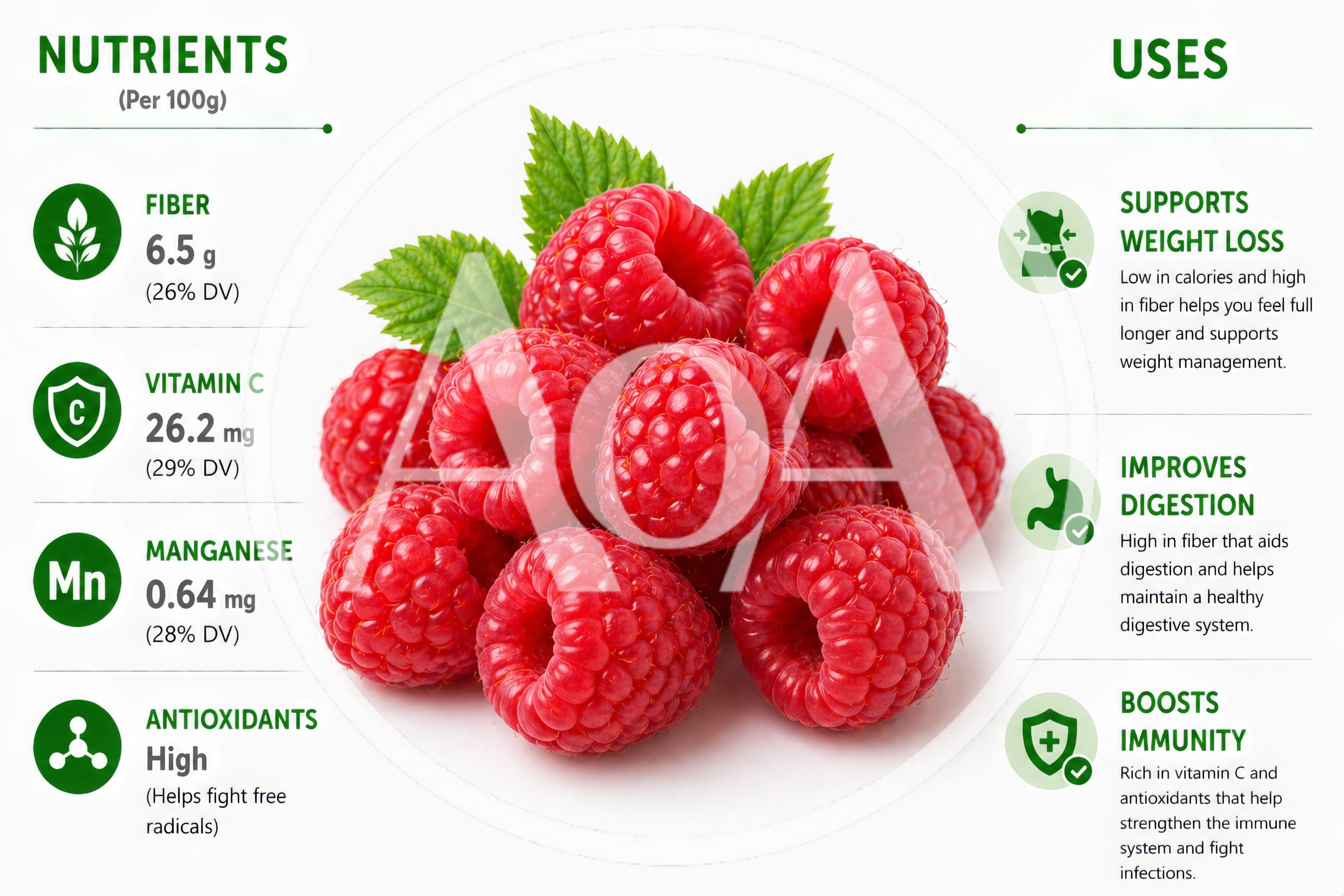 Raspberry Nutritional Benefits Infographic With Fresh Fruit