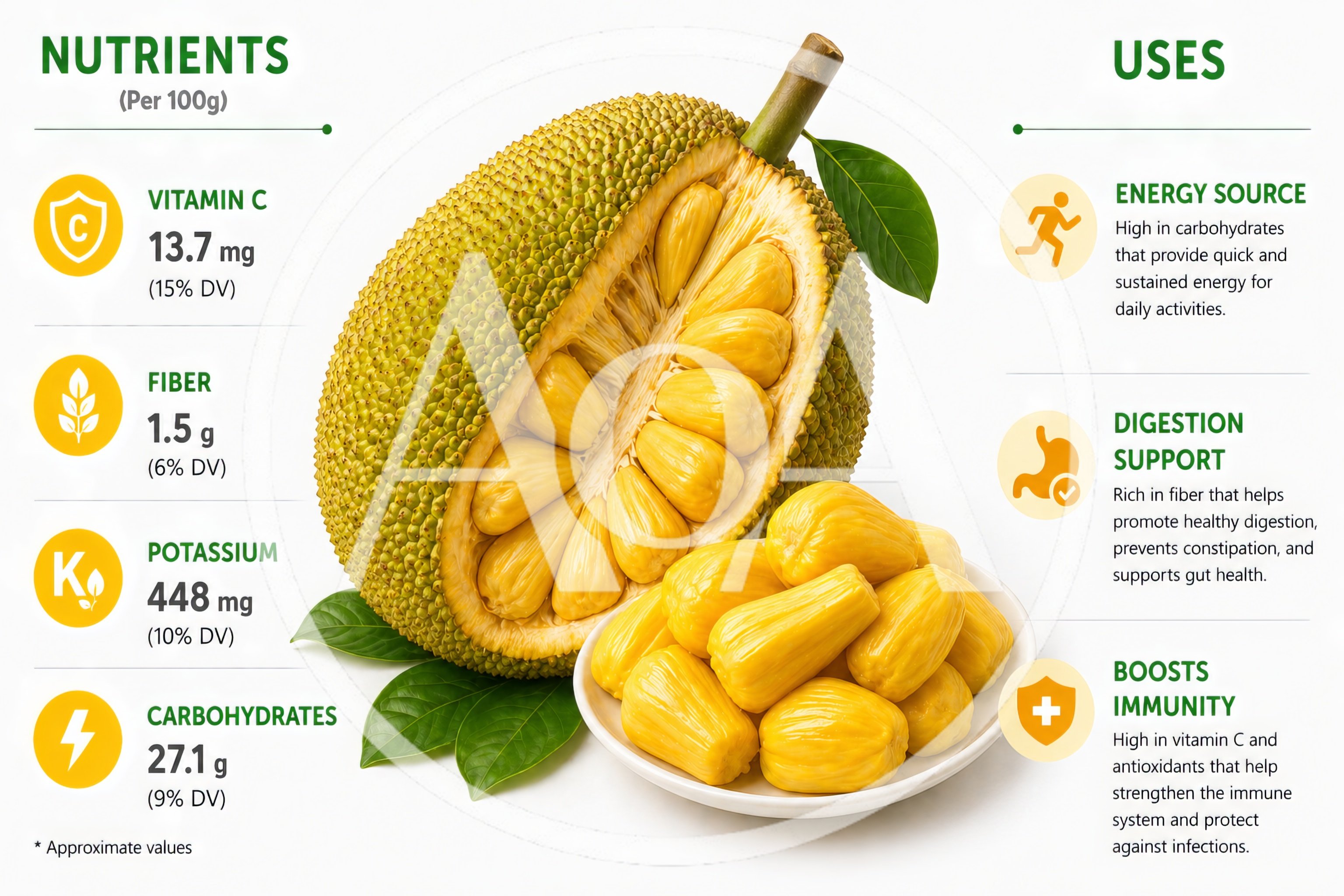 Jackfruit Nutritional Infographic With Fresh Fruit Display