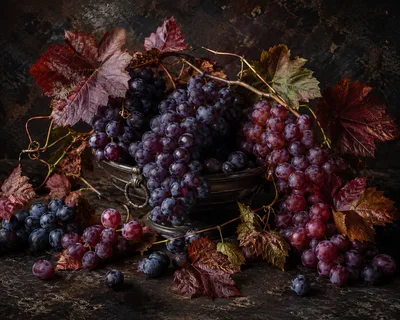 Still Life Composition Of Fresh Grapes In Silver Bowl