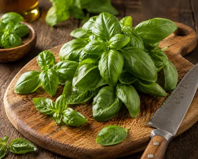 Fresh Green Basil Leaves On A Wooden Cutting Board