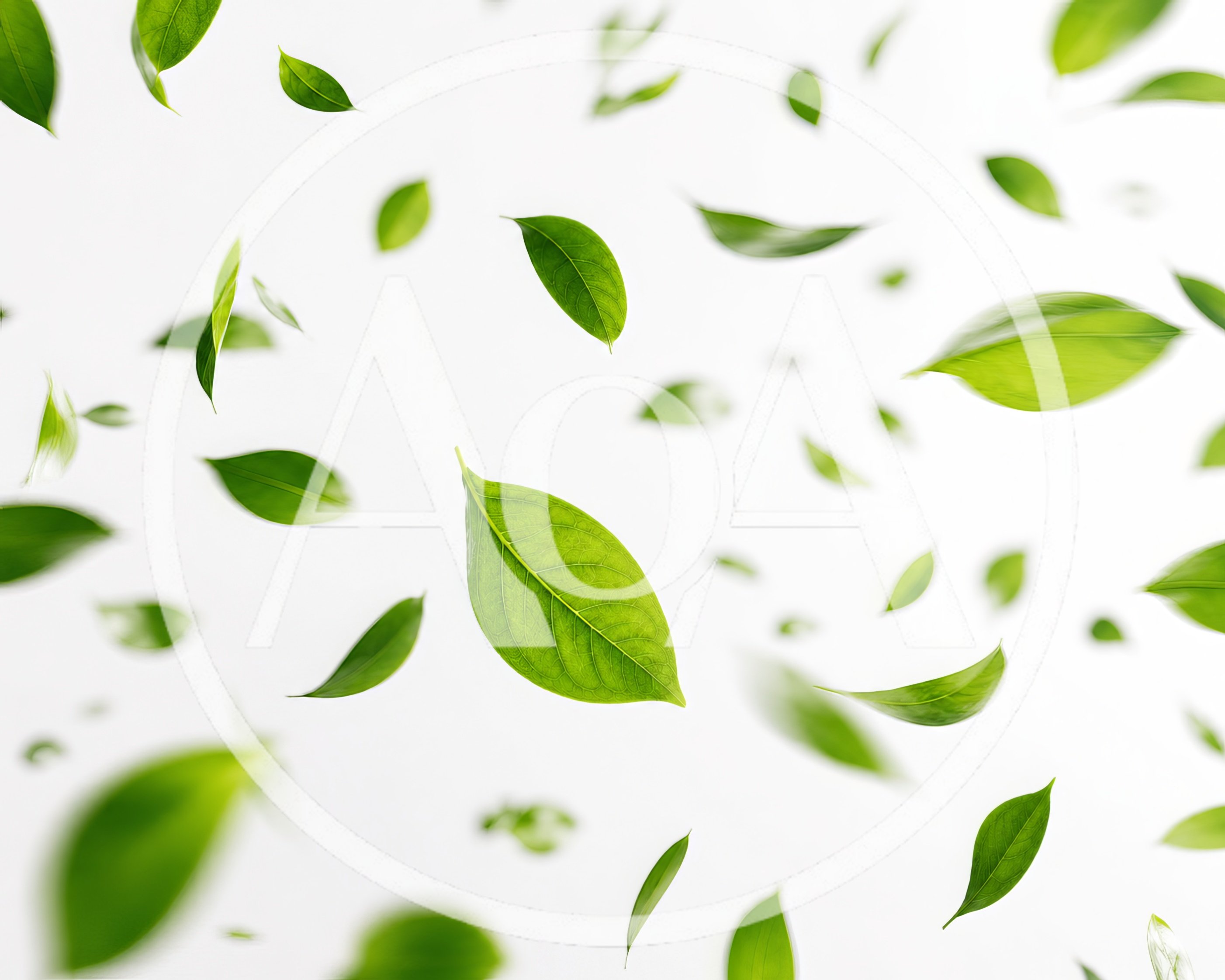 Fresh Green Leaves Falling Against White Background