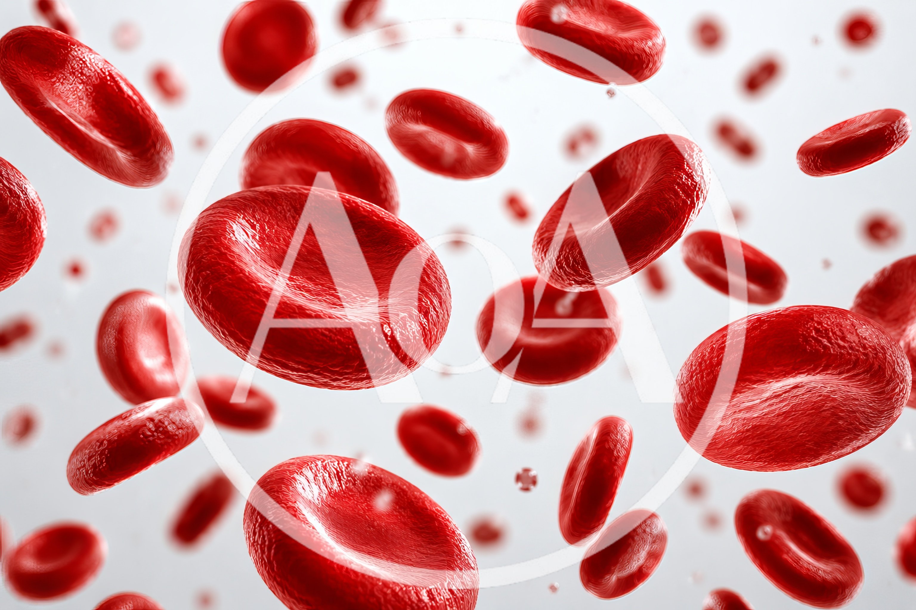 Red Blood Cells Flowing Through A Human Vein