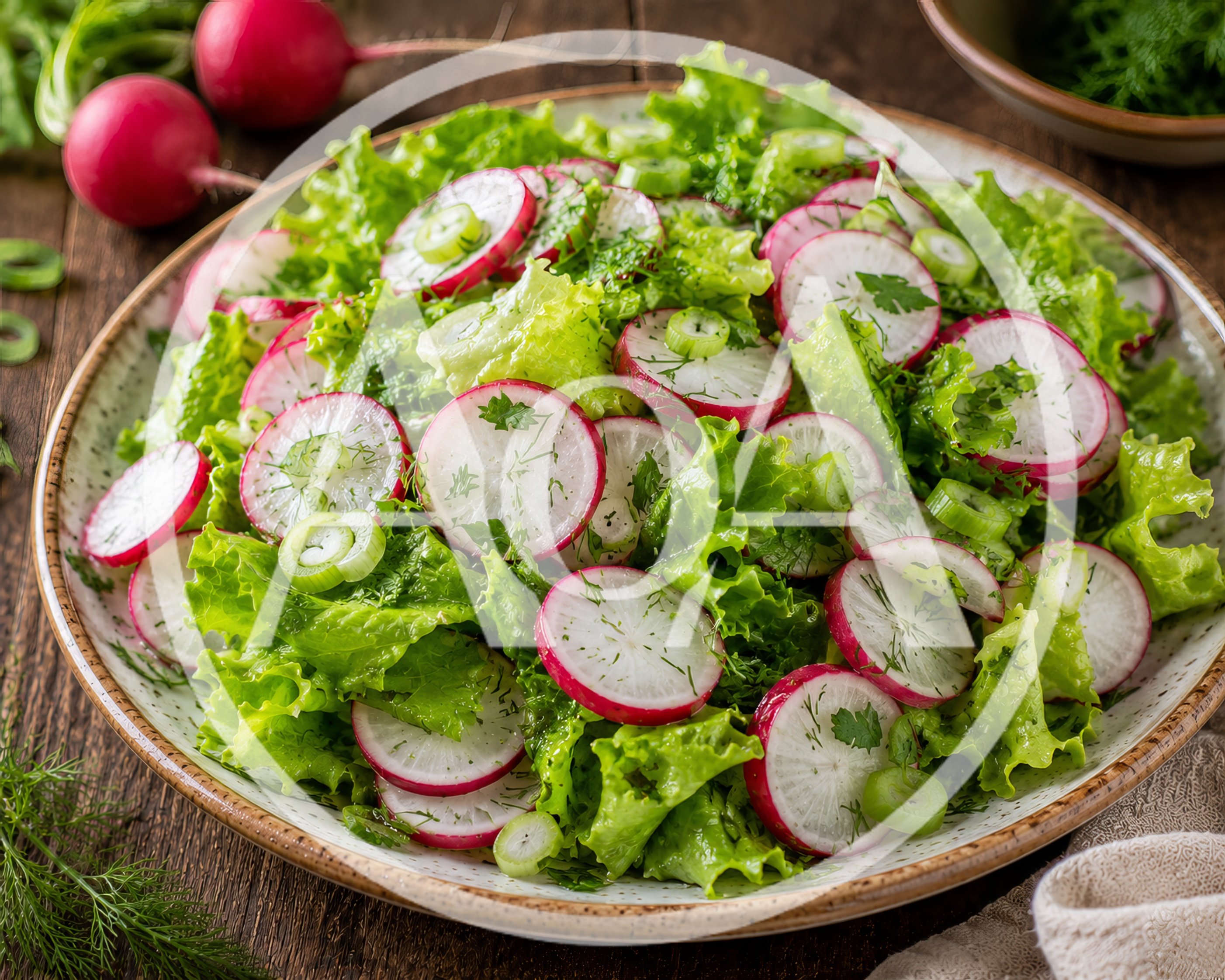 Fresh Radish and Lettuce Salad in Ceramic Bowl
