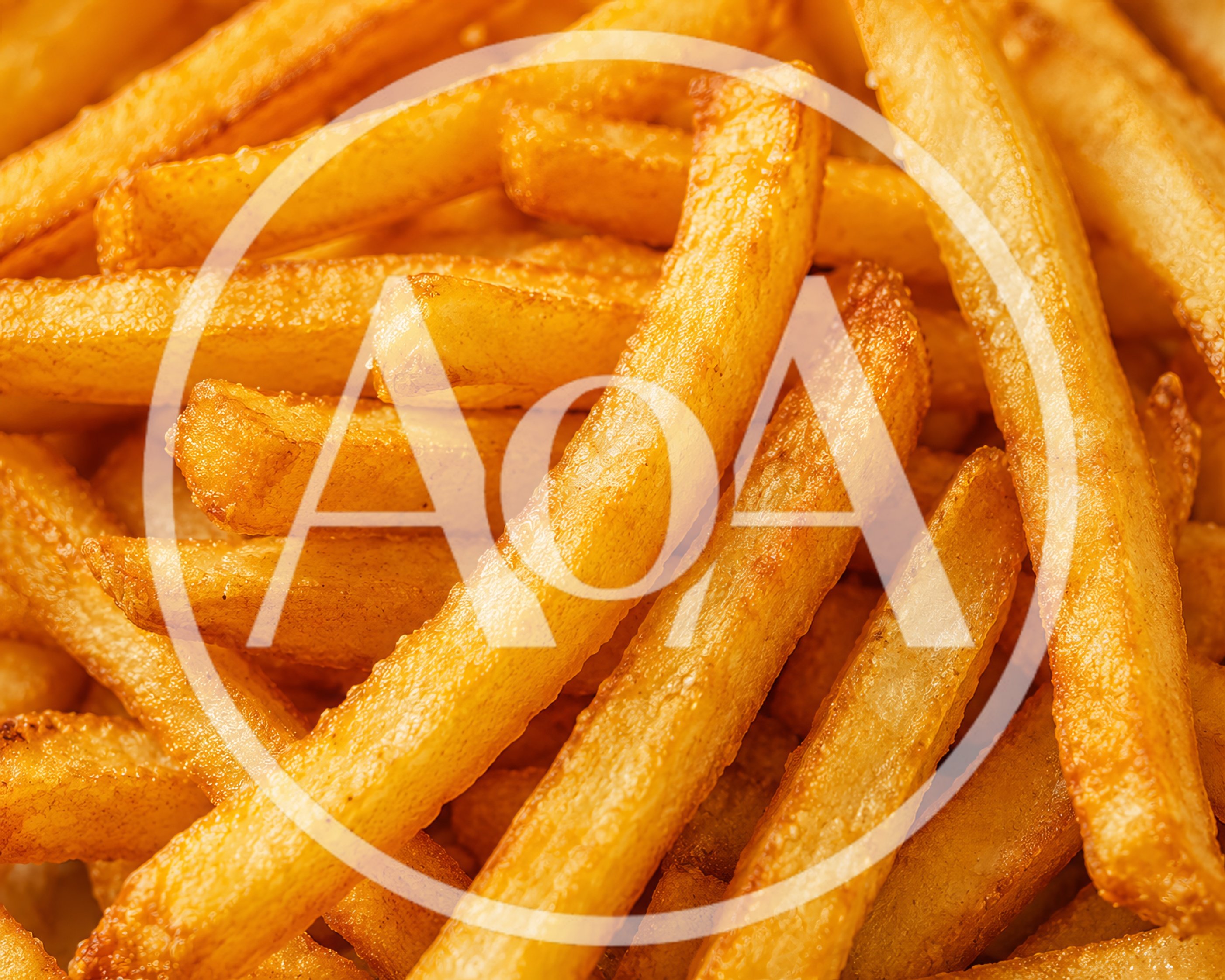 Golden Crispy French Fries Close Up