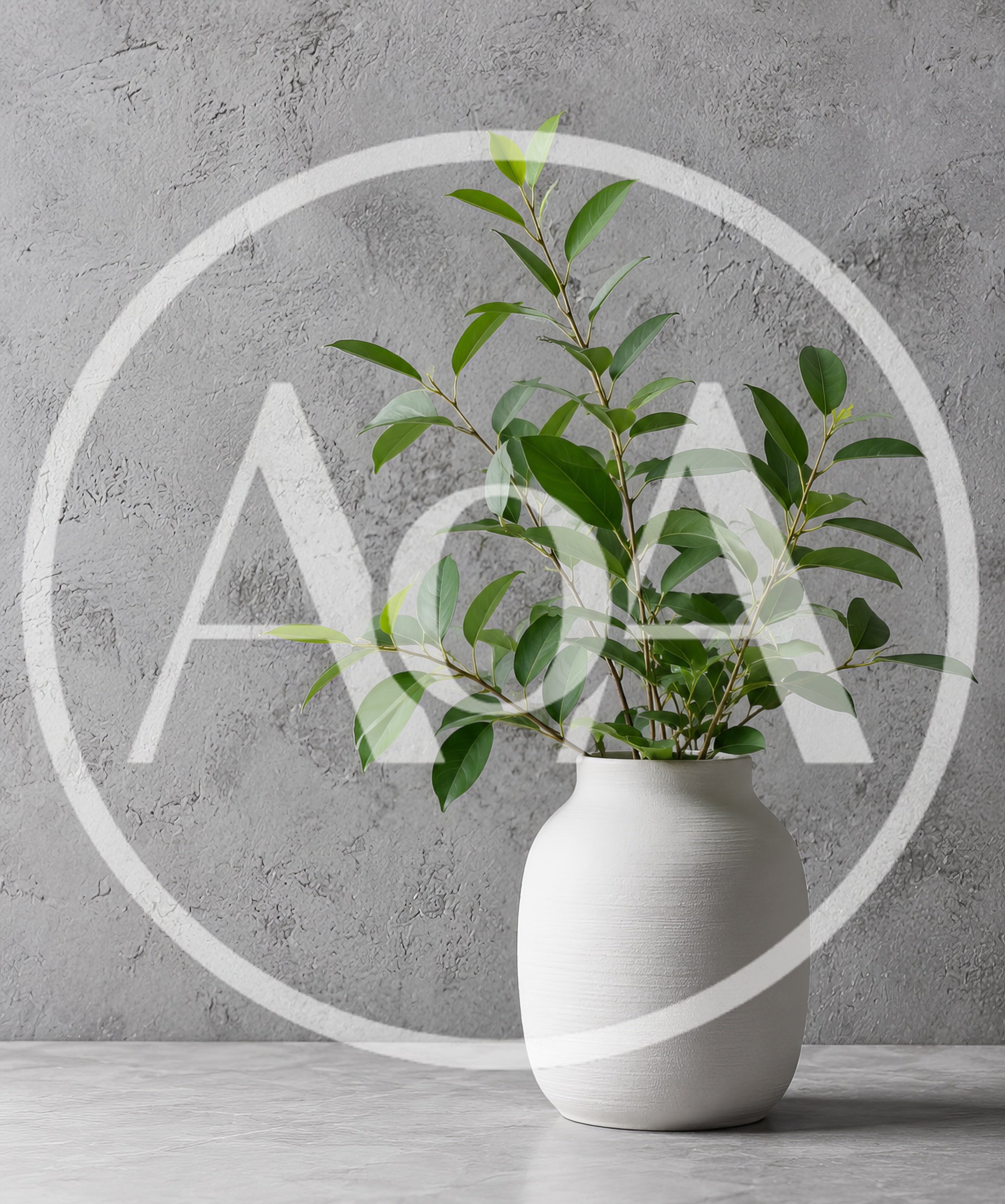 Green Plant in White Vase on Concrete Surface