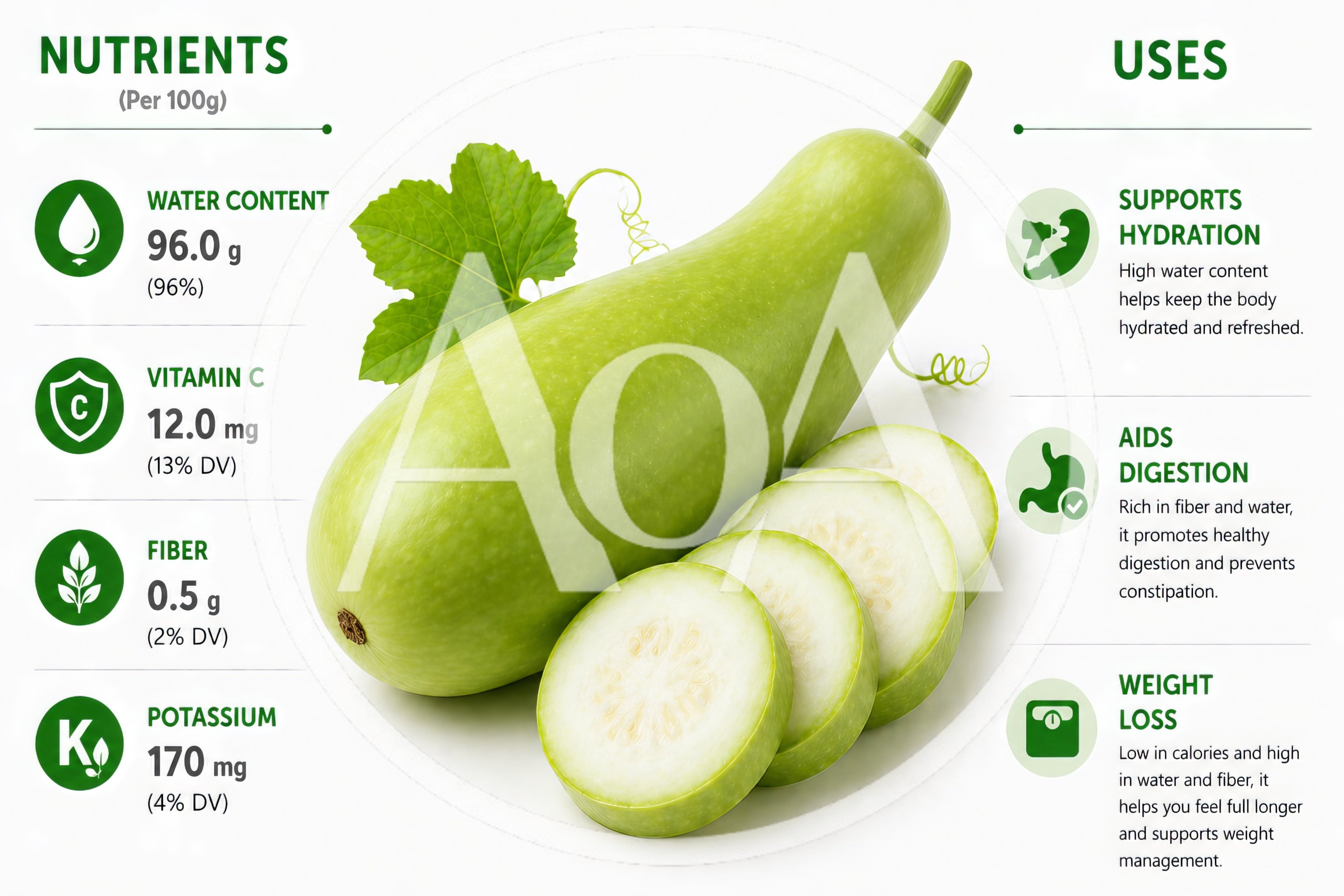 Nutritional Infographic Of Fresh Bottle Gourd Vegetable